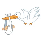 Stork-delivery.jpg